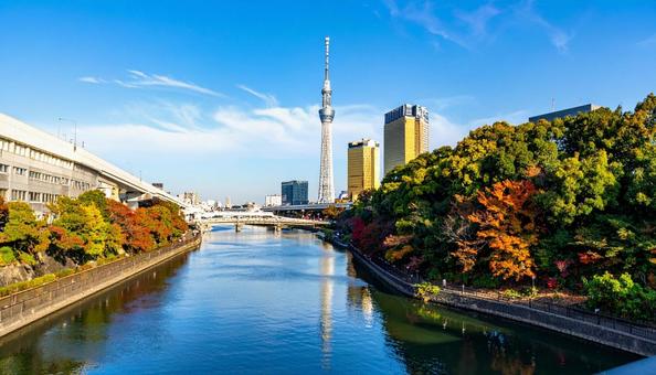 都会のランドマークタワー 都会のランドマークタワーの写真