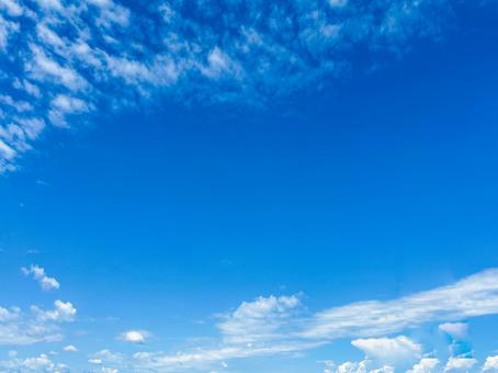 夏の青空の写真
