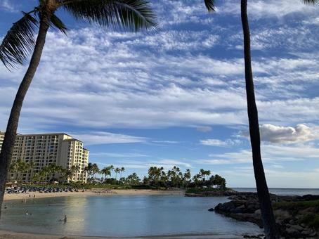ハワイの海の景色Ａ ハワイ,ヤシの木,コオリナの写真素材