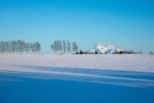冬の林と丘、雪の斜里岳 冬の林と丘、雪の斜里岳 青空,白樺林,雪原の写真素材