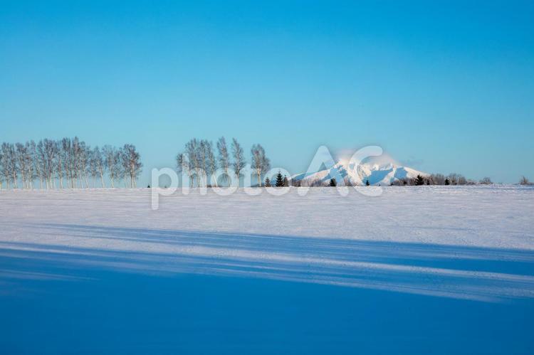 冬の林と丘、雪の斜里岳 青空,白樺林,雪原の写真素材