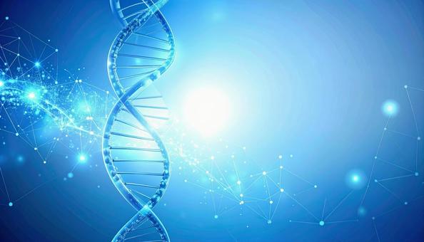美しい遺伝子 染色体 二重らせん 美しい遺伝子 染色体 二重らせんの写真