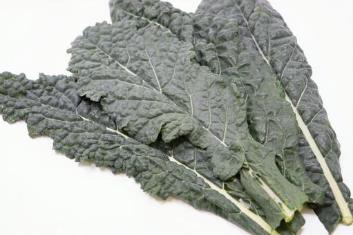 カーボロネロ カーボロネロ,野菜,黒キャベツの写真素材