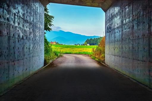 夏の影、トンネルの先に広がる田舎の風景 夏の影、トンネルの先に広がる田舎の風景 夏,田舎,トンネルの写真素材