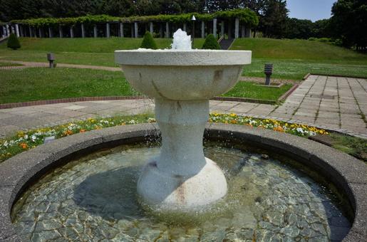 初夏の前田森林公園 初夏の前田森林公園の写真