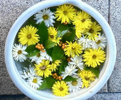 花手水 花アート 旬の花々 飾り花 花手水 花アート 旬の花々 飾り花の写真