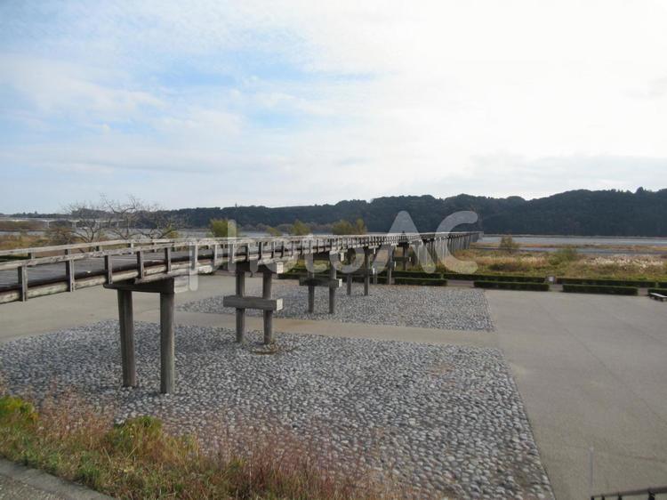ギネス認定の世界一長い木造歩道橋の蓬莱橋 蓬莱橋,木造,歩道橋の写真素材