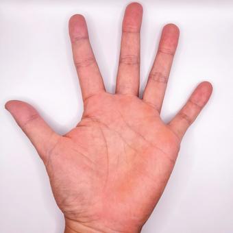 左手パーのポーズ 左手パーのポーズ 左手,パー,手の写真素材