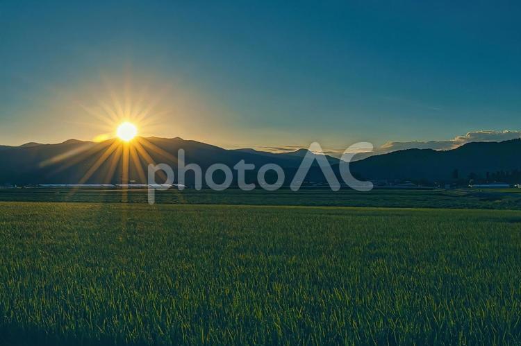 福井の里山を照らす夏の朝日 朝日,夜明け,田んぼの写真素材