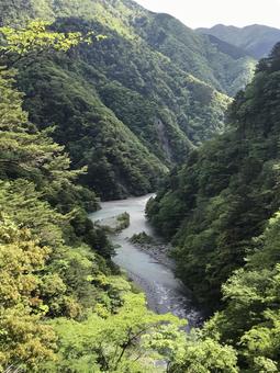大井川 大井川 大井川,渓谷,大井川鐵道の写真素材