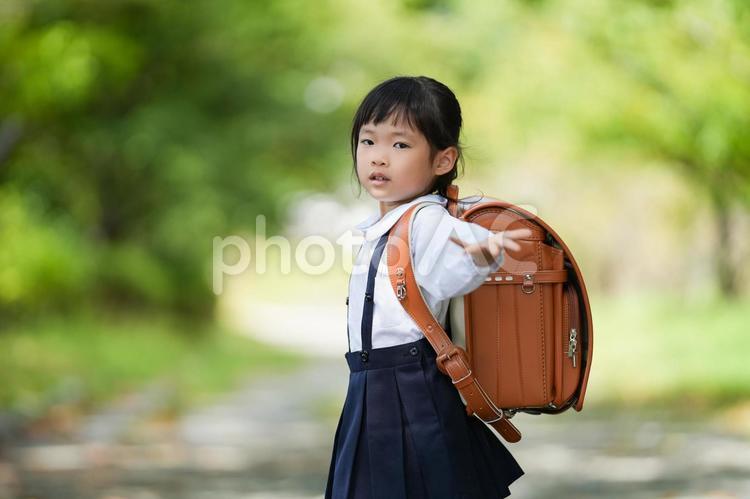ランドセルと小学生の女の子 1年生,入学式,入学の写真素材