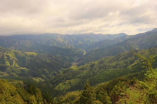 Photo, mountain, shikoku, green, 