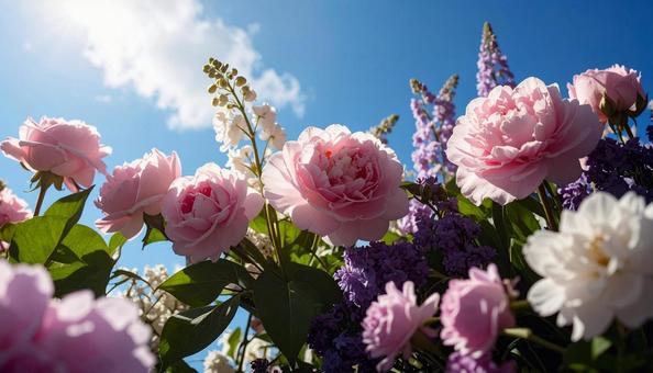 5月誕生花 ピンクのバラ、スズラン 5月誕生花 ピンクのバラ、スズランの写真