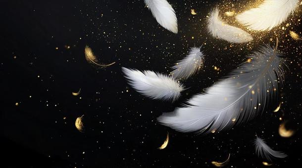 キラキラ白い羽根の写真