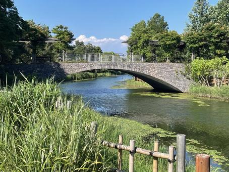 川の風景 川の風景 風景,緑,橋の写真素材