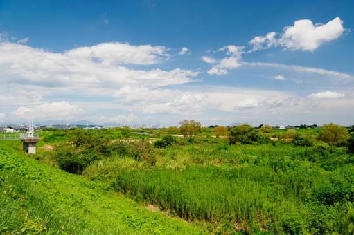 河原の風景⑶ 河原の風景⑶の写真