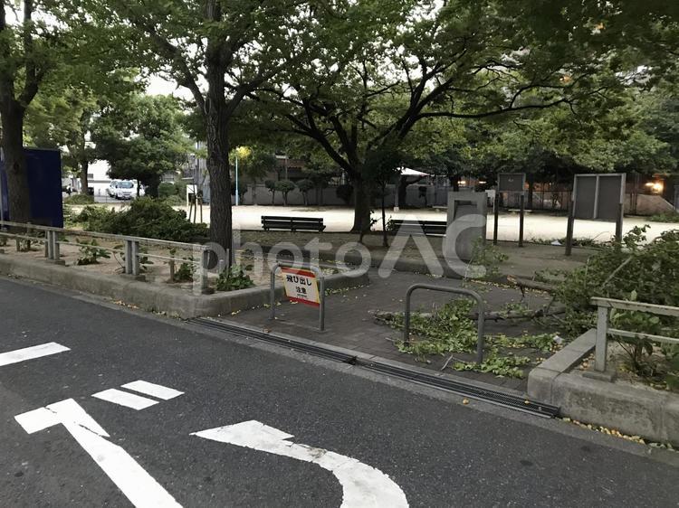 台風の後 アスファルト,道路,道の写真素材