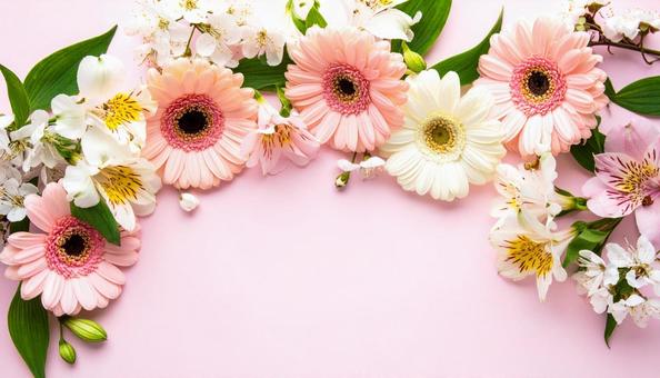 4月誕生花 アルストロメリア、ガーベラ 4月誕生花 アルストロメリア、ガーベラの写真