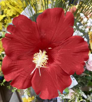 ハイビスカスの造花 ハイビスカスの造花 ハイビスカス,造花,花の写真素材