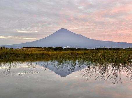 富士川から見る朝の富士山 富士川から見る朝の富士山 富士山,富士川,朝焼けの写真素材