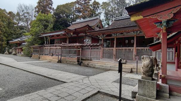 石清水八幡宮2 石清水八幡宮2 石清水八幡宮,神社,外観の写真素材