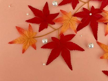 紅葉とパールのフレーム 紅葉とパールのフレーム 紅葉,葉,葉っぱの写真素材