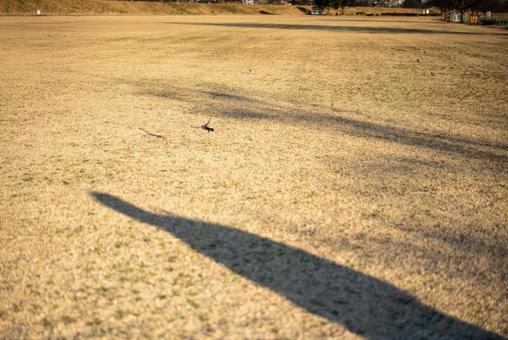 枯れ草の広場と長い影 広場,枯れ草,影の写真素材