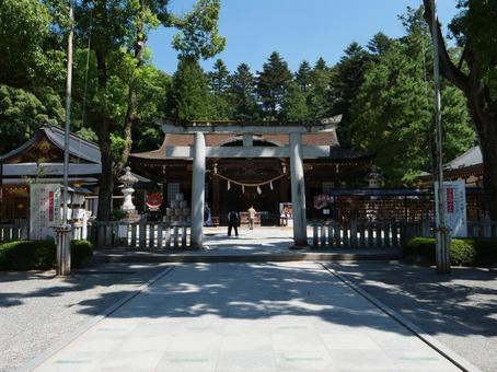 武田神社 鳥居 武田神社 鳥居 武田神社,武田信玄,甲府市の写真素材