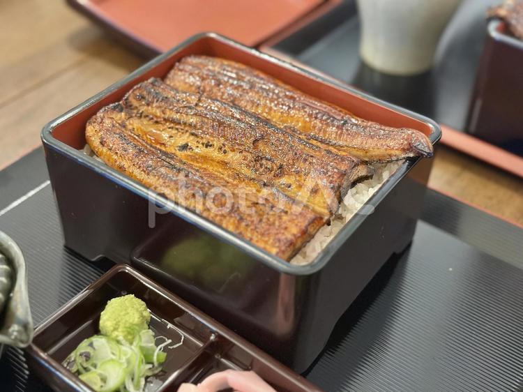 重箱でいただく極上うな重 うな重,うなぎ,蒲焼きの写真素材