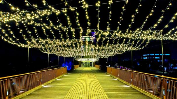 富岩運河環水公園　天門橋のライトアップ 富岩運河環水公園,富山県,富山市の写真素材