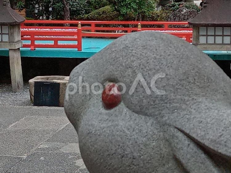 京都府　岡崎神社　うさぎの像 京都府,岡崎神社,うさぎの写真素材