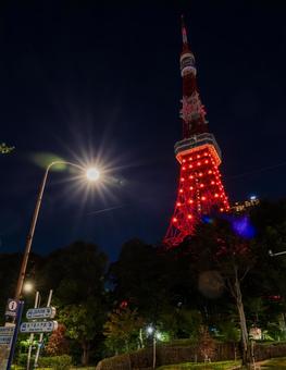 夜の東京タワー 夜の東京タワーの写真