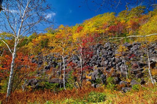 千畳くずれと紅葉 千畳くずれと紅葉 千畳くずれ,紅葉,然別の写真素材