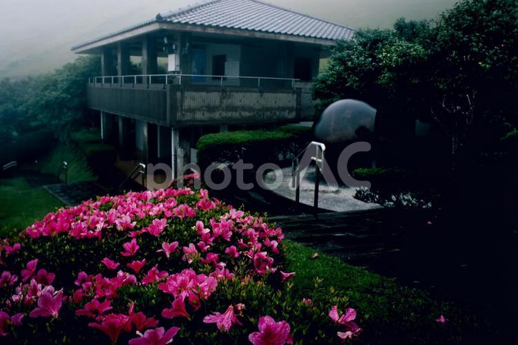 ＜五島風景＞梅雨の鬼岳園地とサツキの花 サツキ,花,霧の写真素材