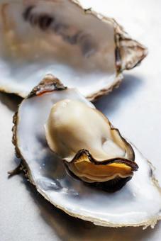 Photo, oyster, shell, seafood, 