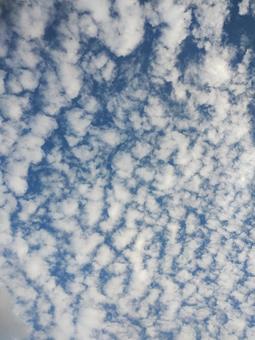 ウロコ雲秋の写真