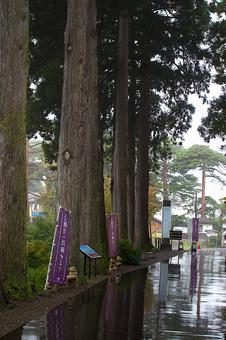 新潟上越　春日山公園 緑,秋,景色の写真素材