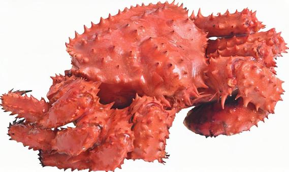 花咲がにB 花咲がにB カニ,北海道,物産展の写真素材