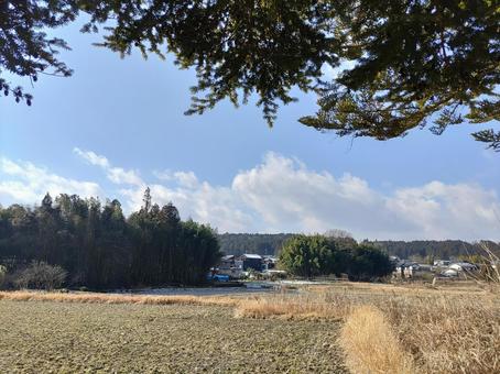 田園風景2 田園風景2の写真