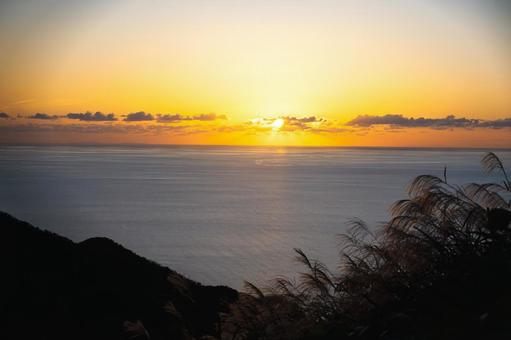 海に沈む夕陽とススキのシルエット 海に沈む夕陽とススキのシルエット 夕日,夕焼け,夕暮れの写真素材