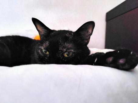 Listless, JPG