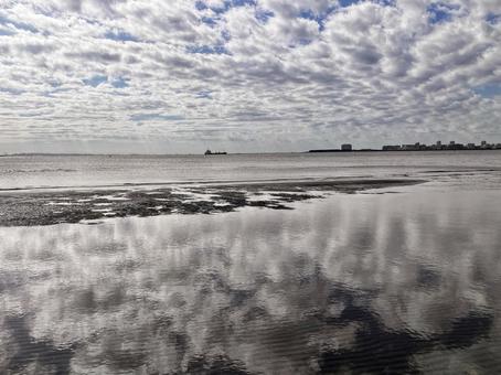 ふなばし三番瀬海浜公園7の写真
