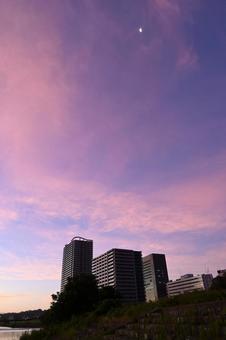 朝焼け空とビル群 朝焼け空とビル群の写真