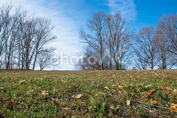 渡良瀬遊水地の風景 渡良瀬遊水地,大地,地面の写真素材