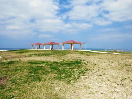 リゾートな雰囲気の青空と芝生 リゾートな雰囲気の青空と芝生 海,沖縄,エメラルドグリーンの写真素材