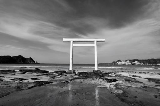 鵜原海岸 鵜原海岸の写真