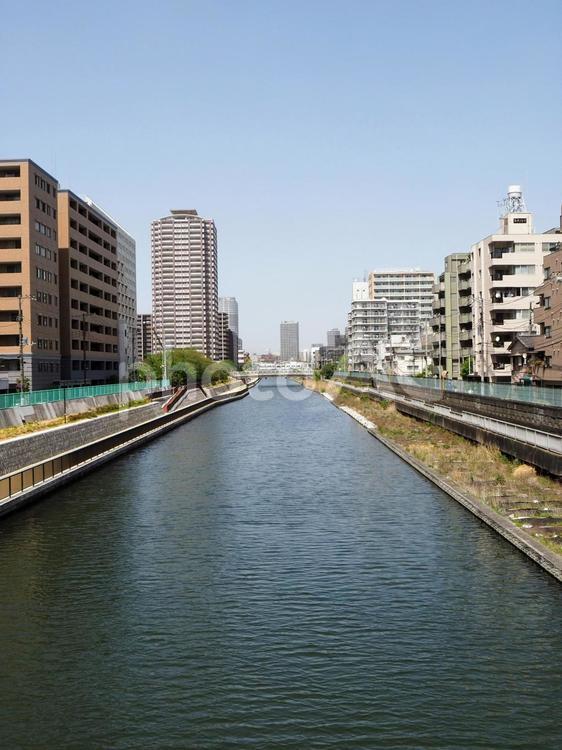 横十間川沿いの江東区・墨田の街（東京都） 東京都,横十間川,江東区の写真素材