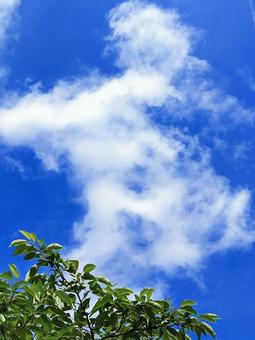 Photo, natural, clear, blue sky, 