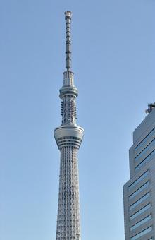 <東京都>東京スカイツリー <東京都>東京スカイツリーの写真