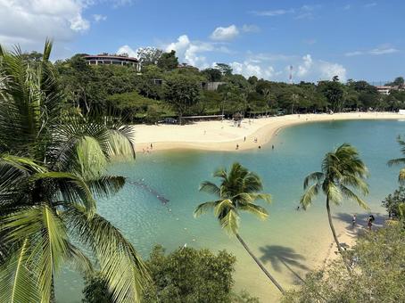 セントーサ島のビーチ セントーサ島のビーチ シンガポール,セントーサ島,ビーチの写真素材